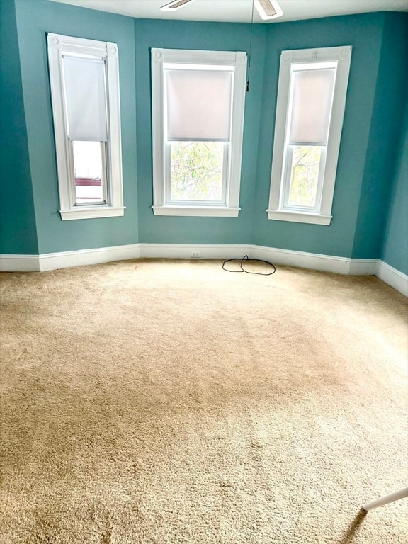 Building Photo - 74 Vernon St