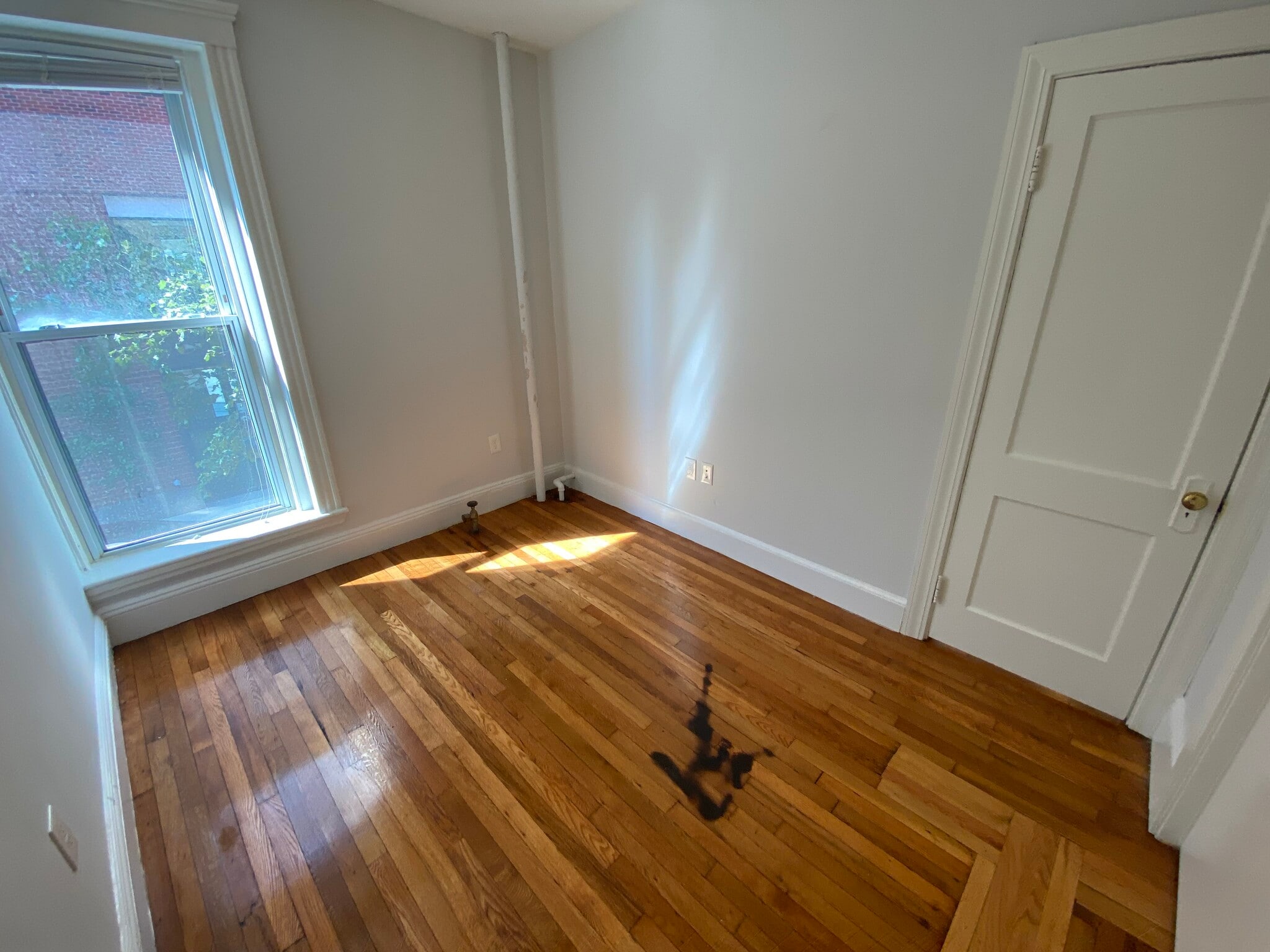 Building Photo - 29 Worthington St