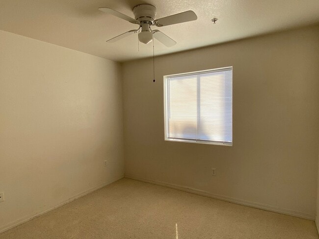 Building Photo - P2380