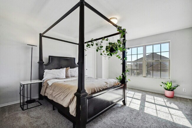 Building Photo - Spacious 4-Bedroom Rental in Trails at Culebra with Community Amenities