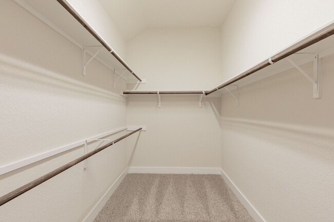 Building Photo - 3804 Sandhill Crane Dr