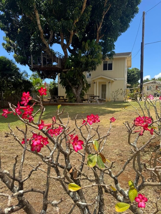 Primary Photo - Newly Renovated 3/3 Home in Waialua