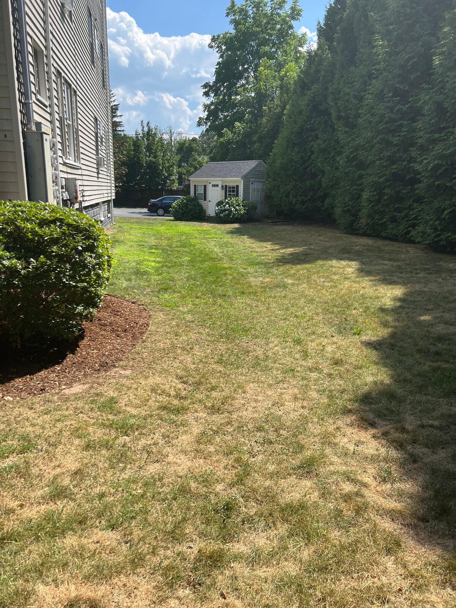 side yard - 28 Church Street
