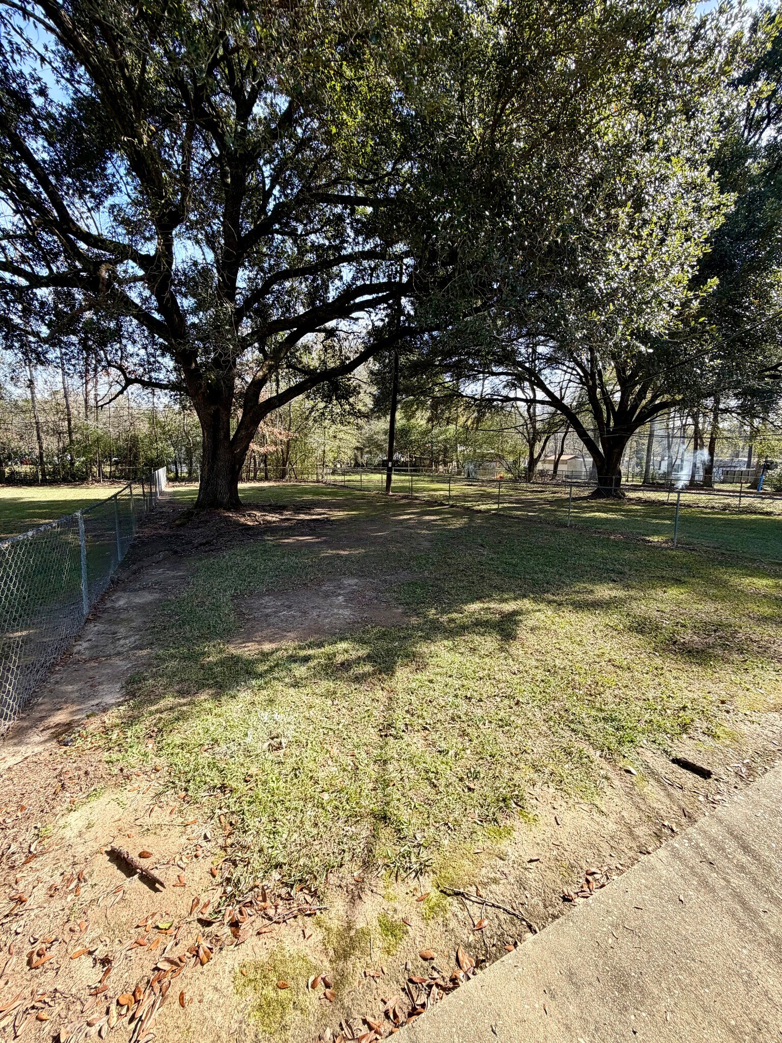 Yard view - 29604 Burns Ln