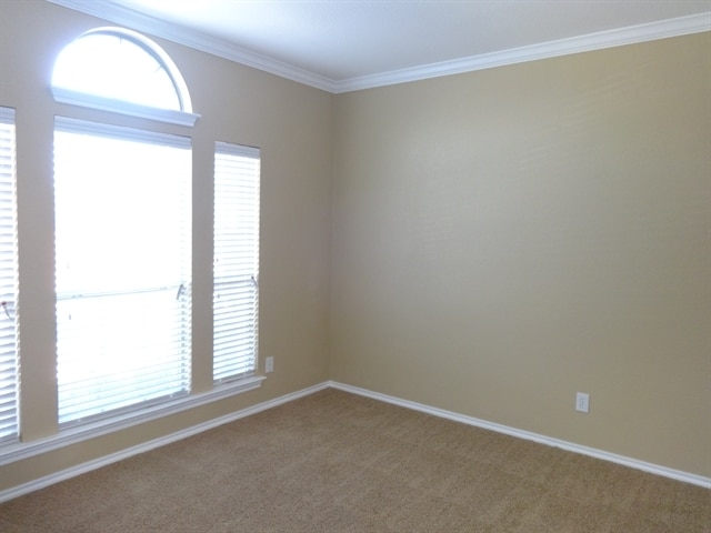 Building Photo - 3313 Buckthorn Ln