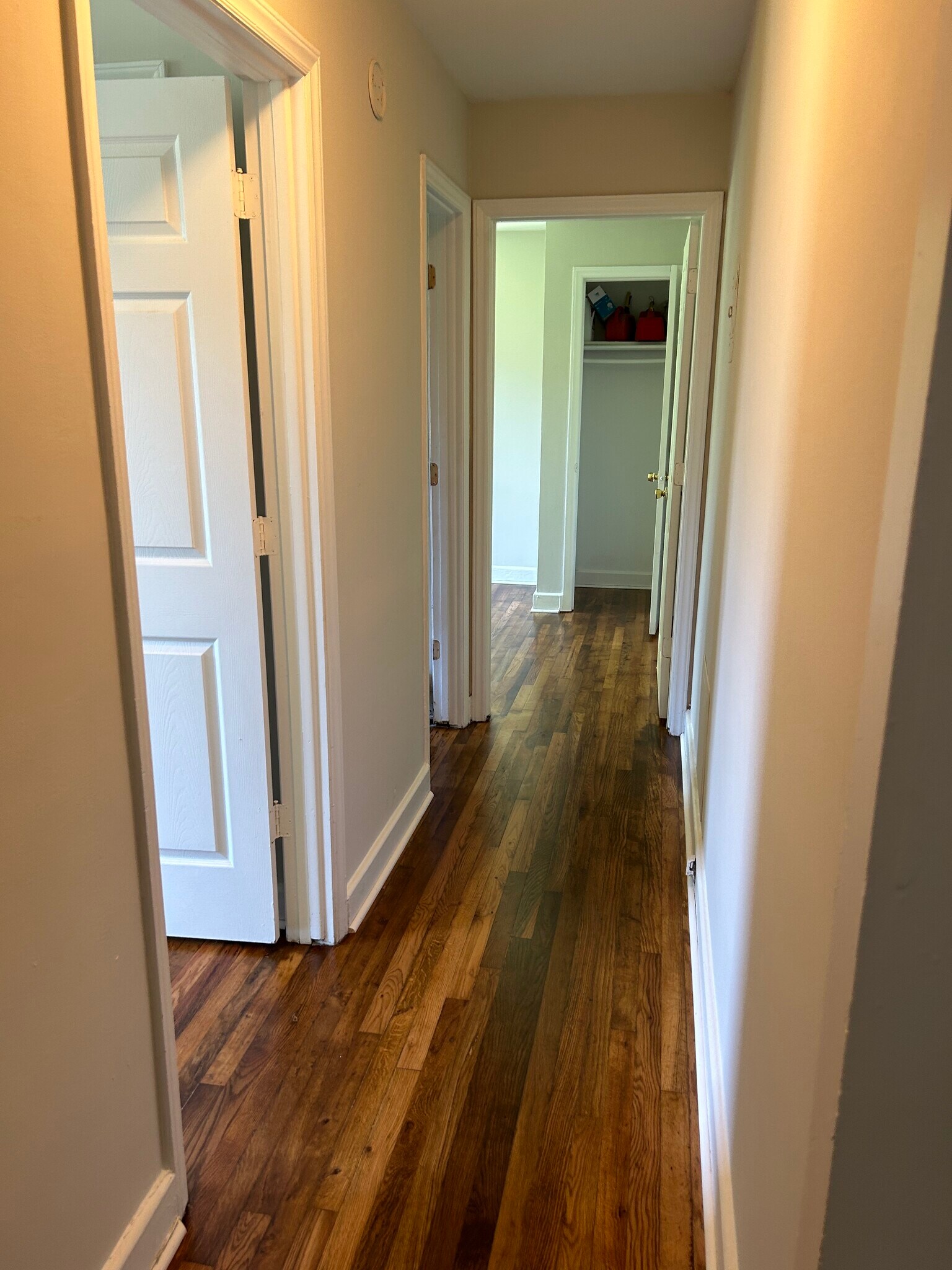 Building Photo - 305 Orange St