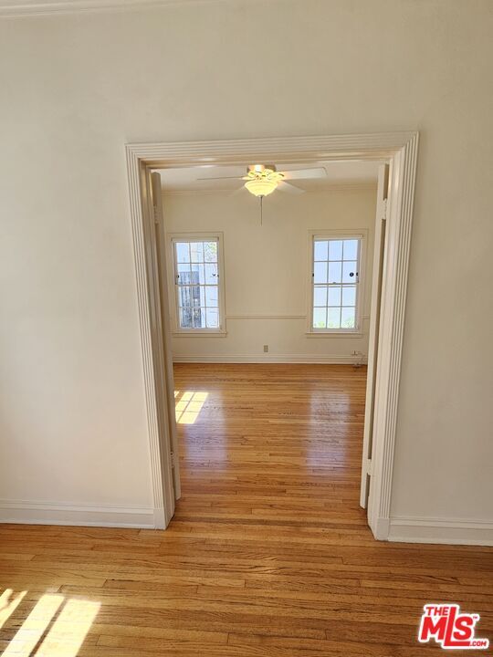 Building Photo - 441 1/2 S Palm Dr