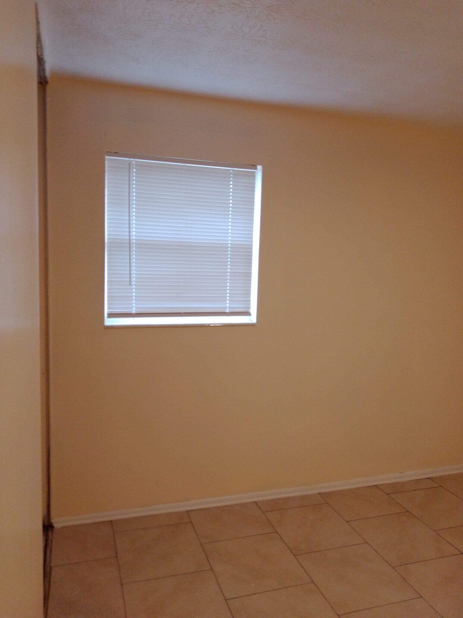 Building Photo - 2537 Chris Ct