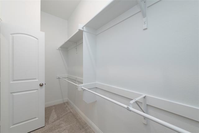 Building Photo - 2907 Bobcat Dr