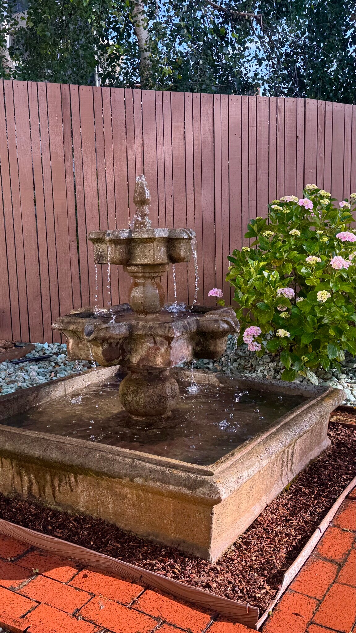The fountain is flanked by mature hydrangea, roses and wysteria. - 2403 Mira Vista Dr