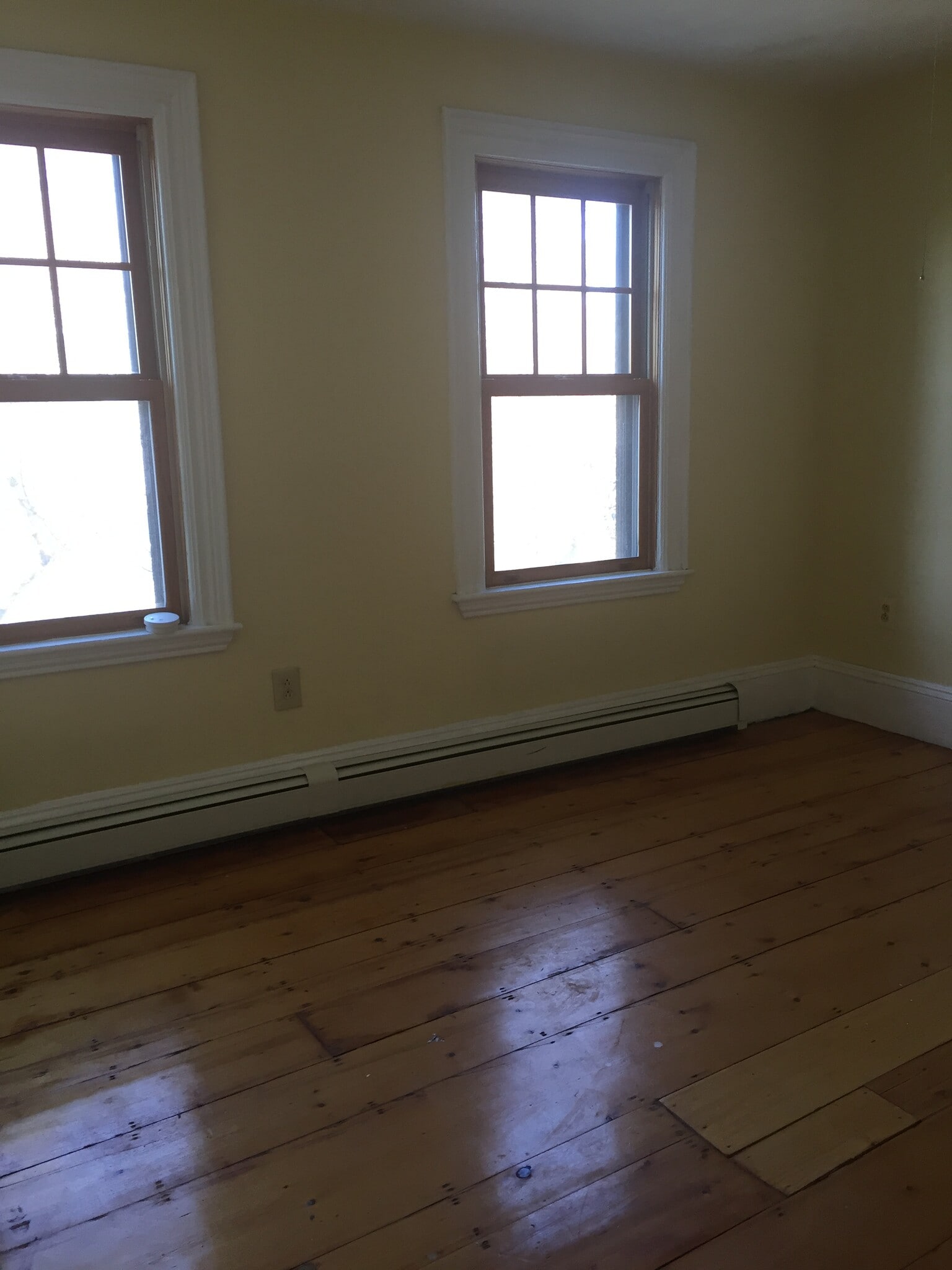 Building Photo - 239 Bennington St