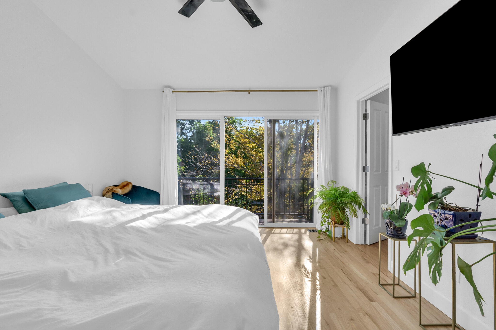 Bedroom 1 - 1619 N Franklin St