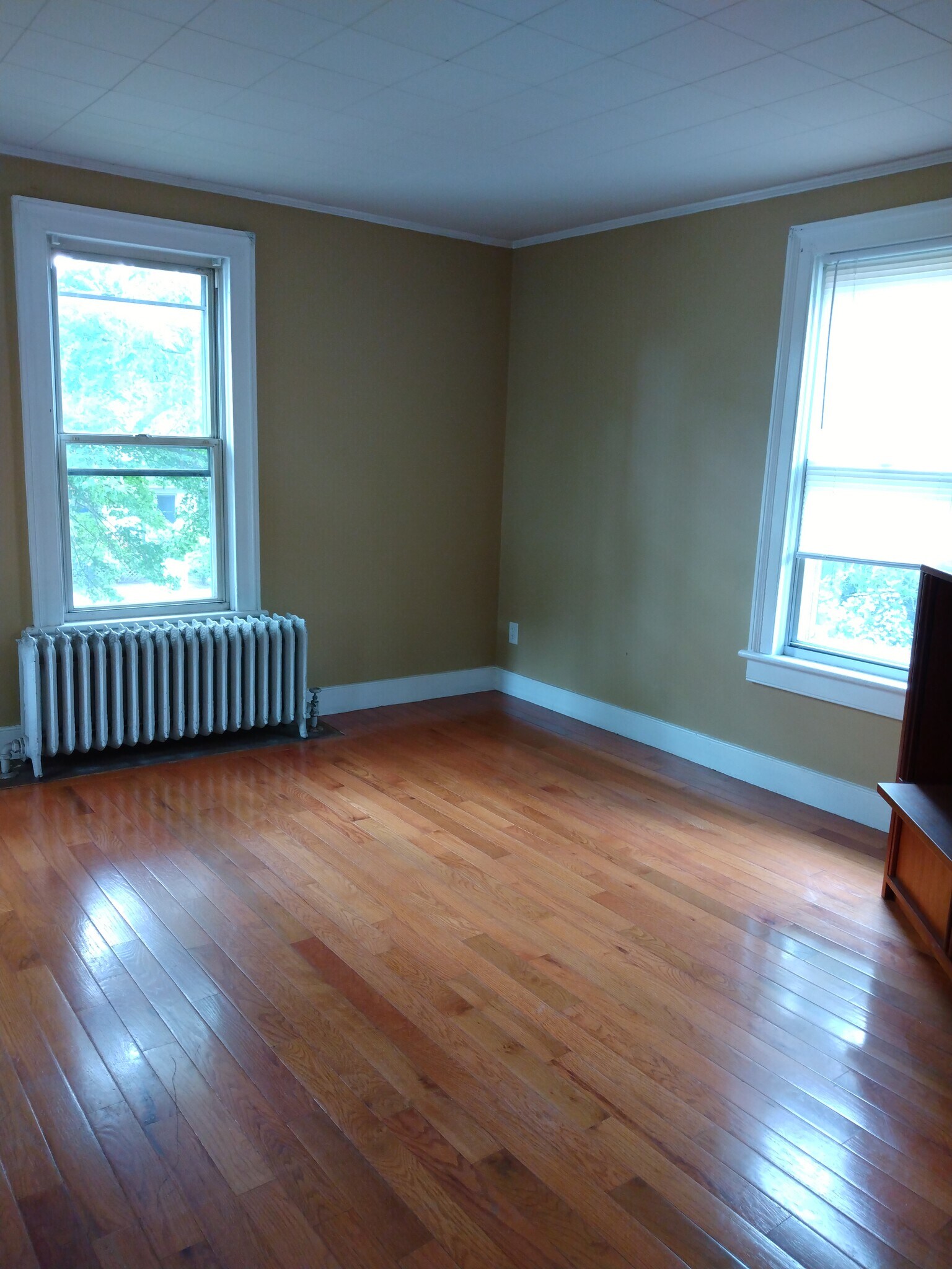 Bedroom/ living room - 7 Locust Ave