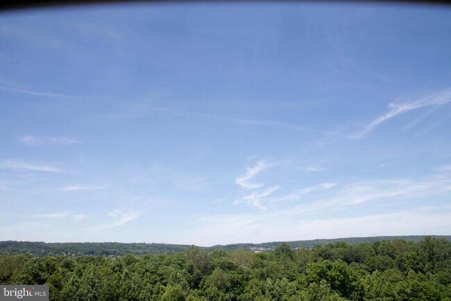 Building Photo - 211 Silverbell Ct