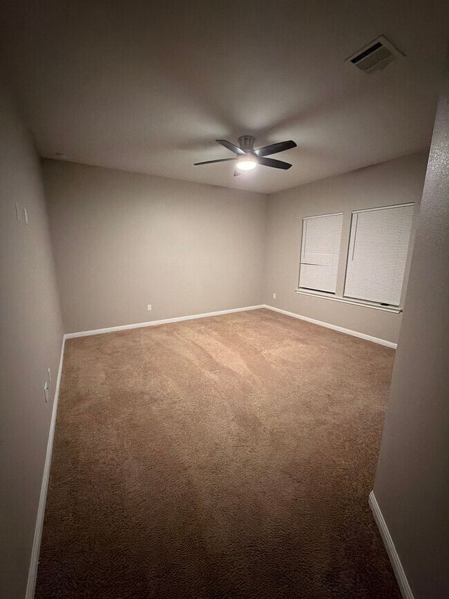 Building Photo - Arabian Colt