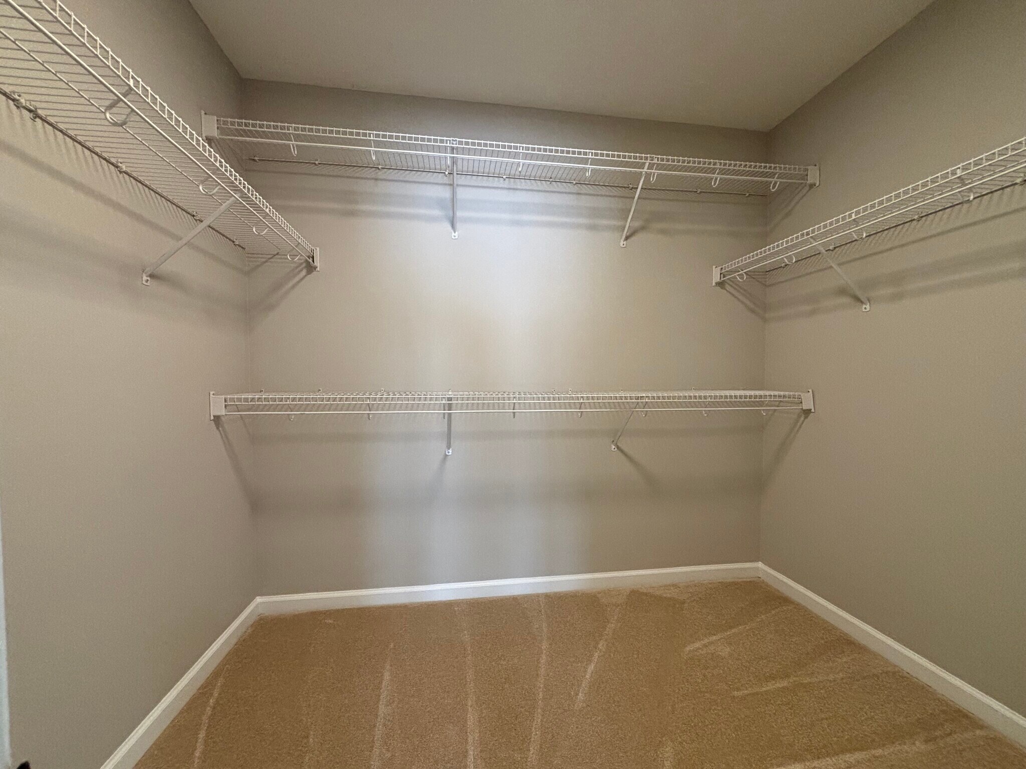 BR1 Closet - 808 Woodsford Dr