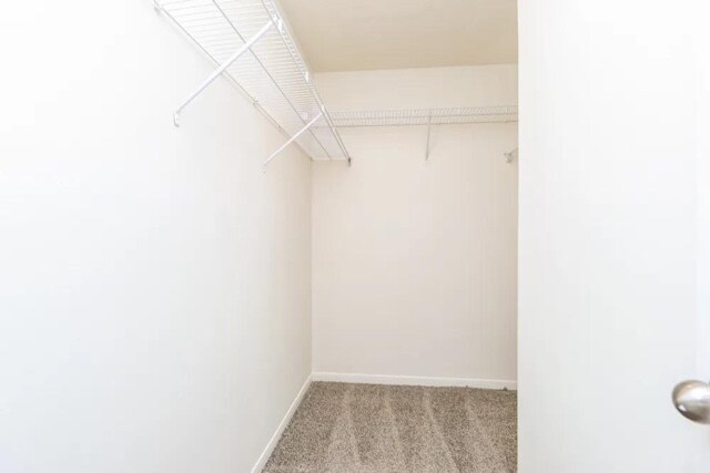 Building Photo - 1516 Imperial Manor Ln
