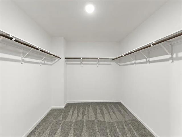 Building Photo - 1828 McCree St