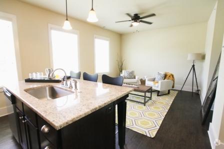 Interior Photo - The Village at Hendrix Row Houses