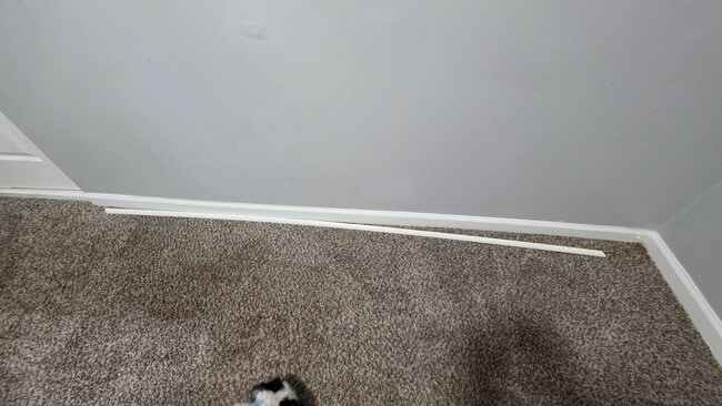 Building Photo - 3 Bedroom in rare to rent area!