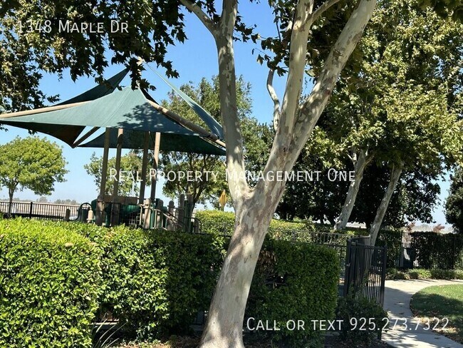 Building Photo - Gorgeous 4 Bedroom, 2.5 Bath Single Story ...