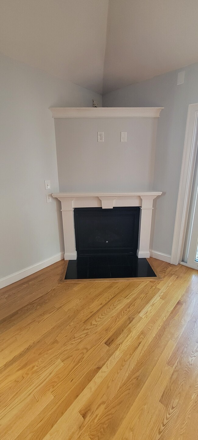 Gas Fireplace - 46 Newport St