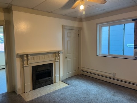 Living room Fireplace and closet - 309 Biddle Ave