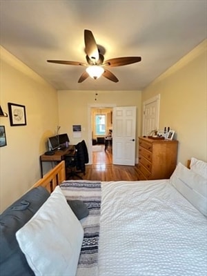 Building Photo - 42 Gorham St