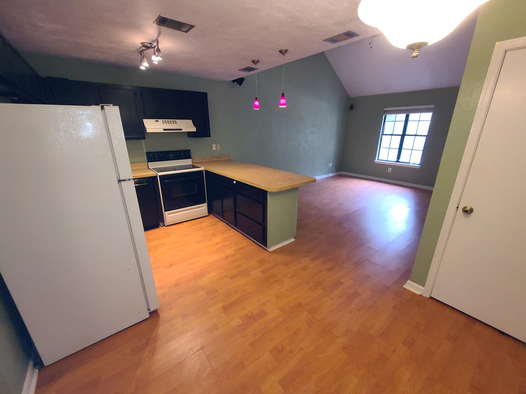 Kitchen and living room - 1075 Ocala Rd