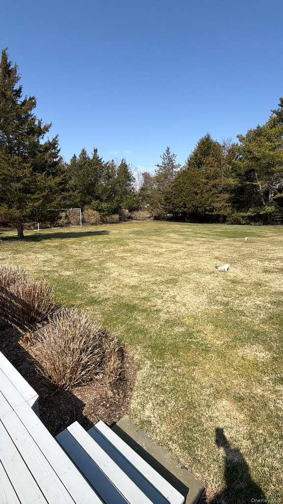 Building Photo - 582 Hayground Rd