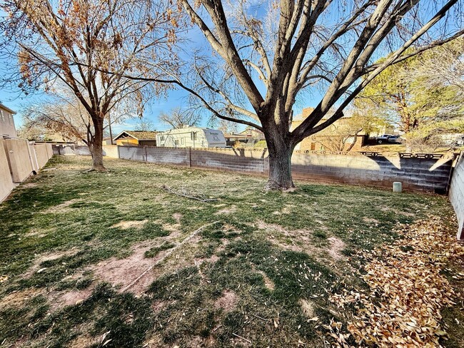 Building Photo - Adorable 3-BR Parkside Townhome