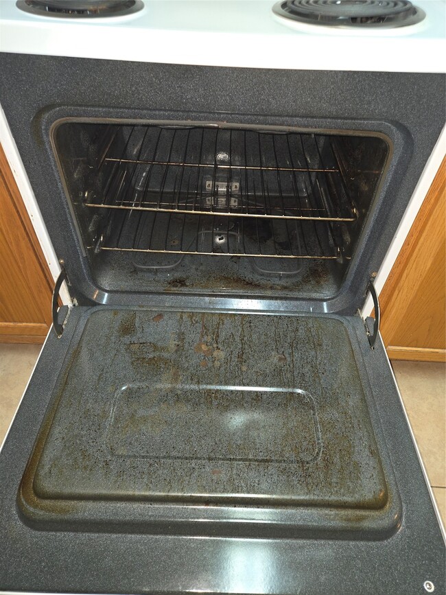 Building Photo - 938 Birnham Woods Blvd