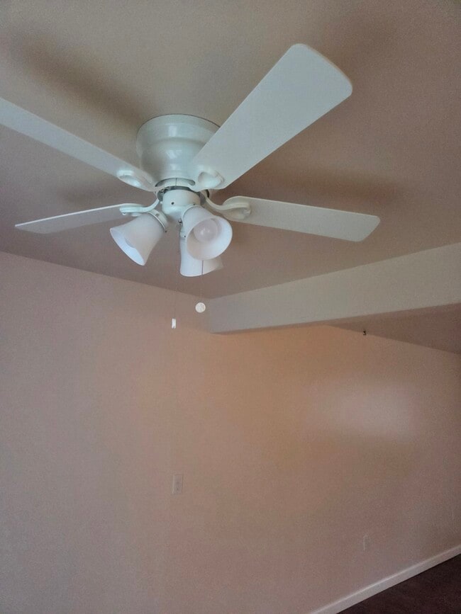 Building Photo - 524 Mercer Rd