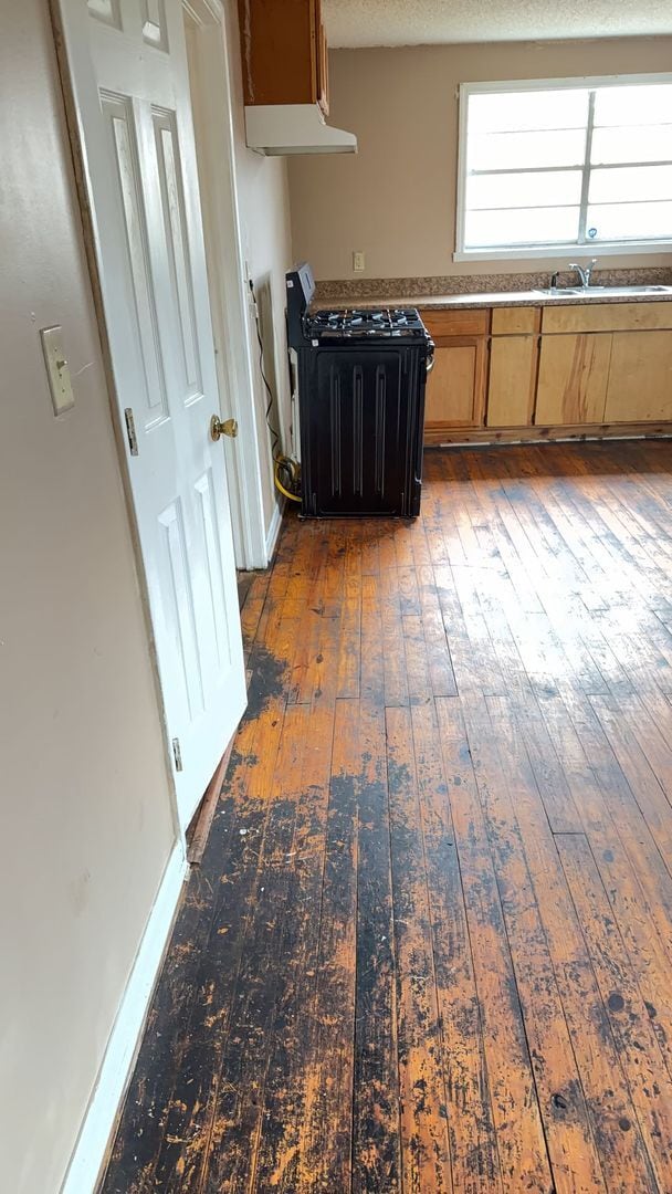 Building Photo - 591 Perdue Place, Greenville