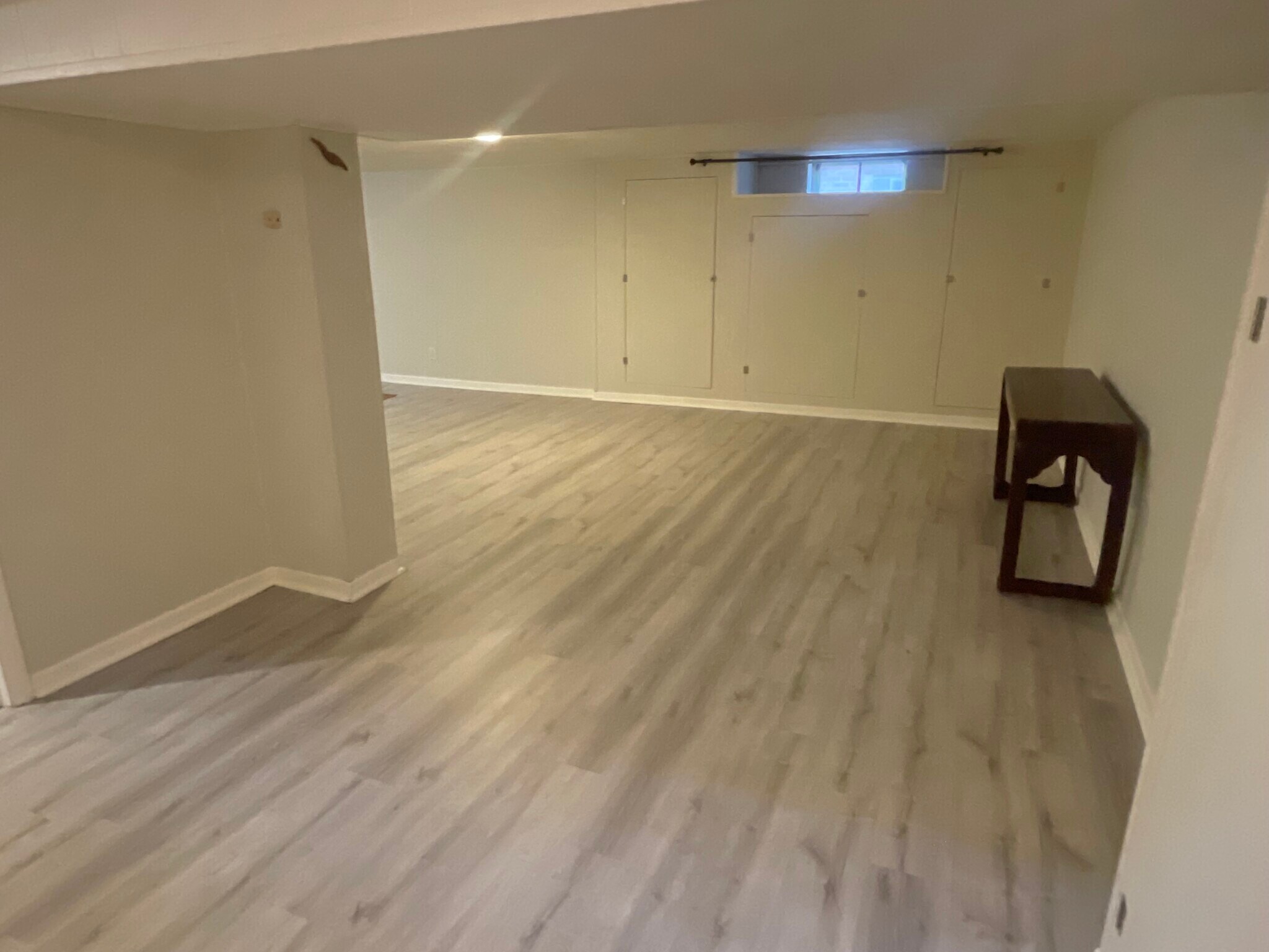 Basement - 319 Dodge Ave