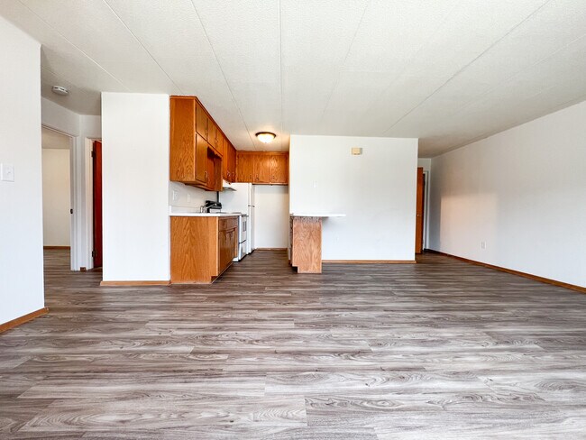 Two Bed One Bath - The Midtown Apartments