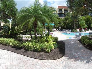 Lush, Tropical landscaping at Pool - 2255 Lindell Blvd