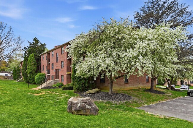 Building Photo - 2 Bedroom 1 Bathroom first floor Goshen Valley flat!