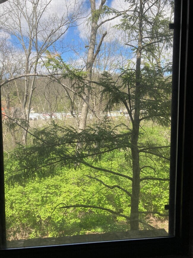 Building Photo - 7213 Creekview Dr