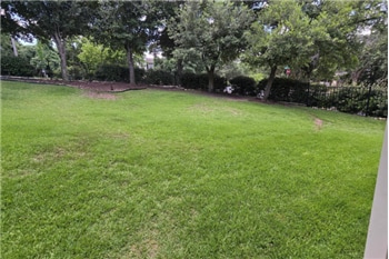 Building Photo - 10703 Misting Falls Trail