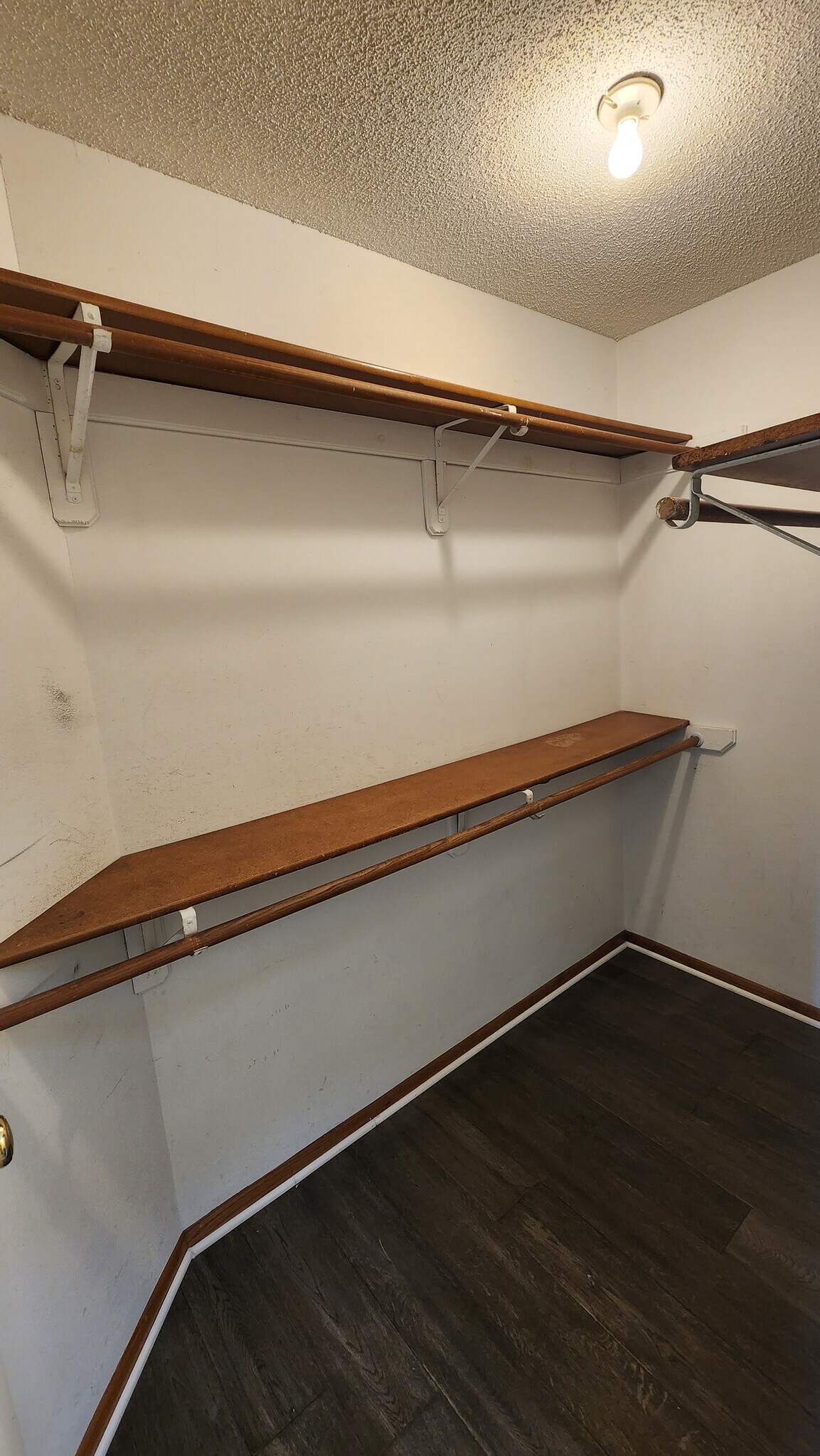 Building Photo - 1209 58th St