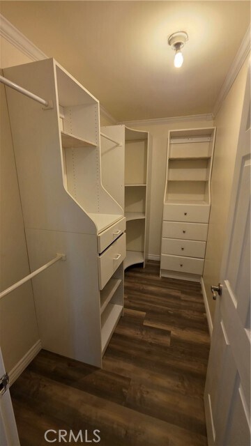 Building Photo - 2561 Gonzaga Ln