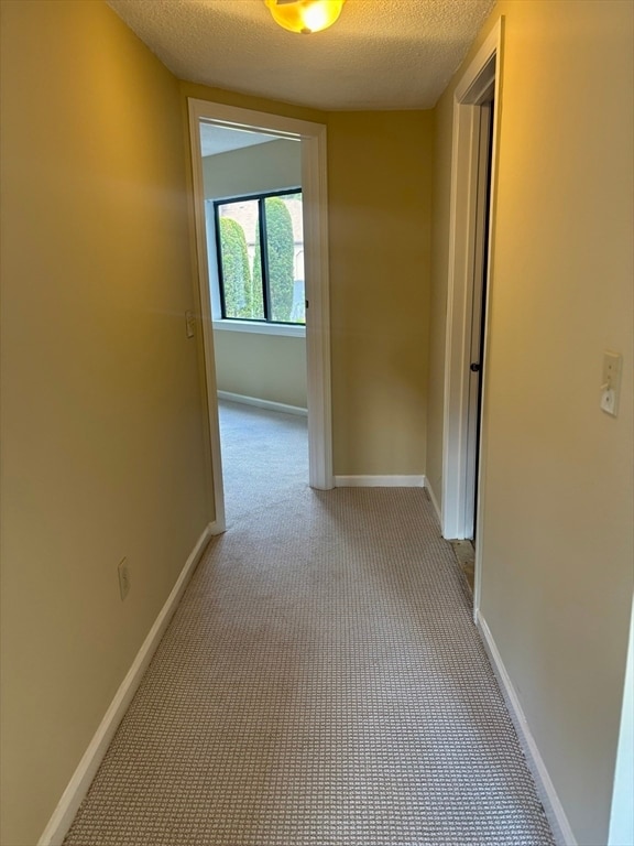 Building Photo - 305 Trailside Way
