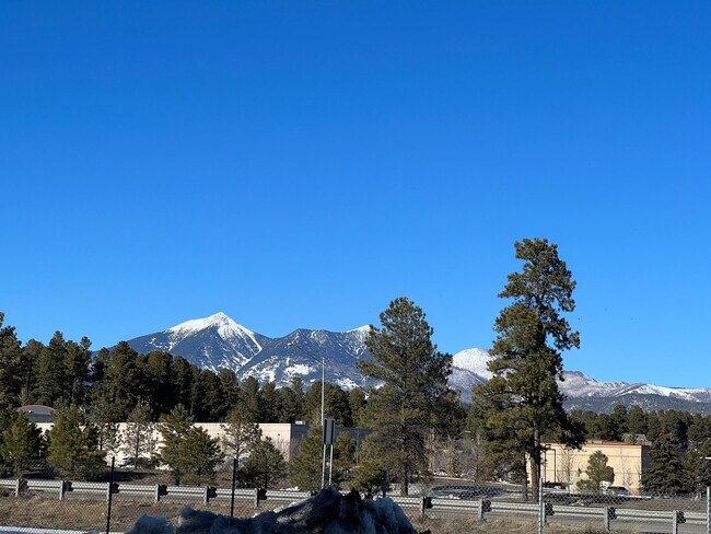 Building Photo - 3200 S Litzler Dr