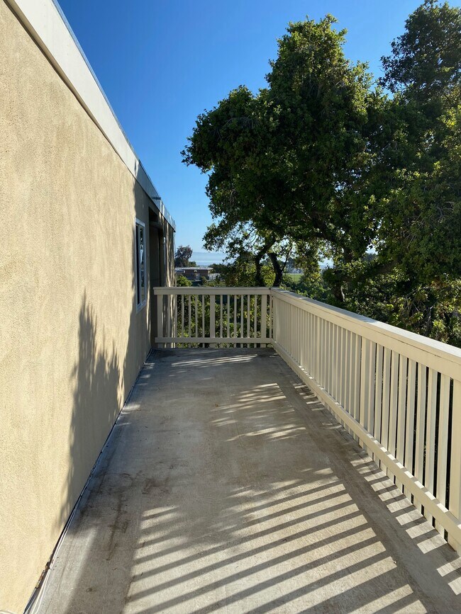 Deck - 417 Portofino Dr