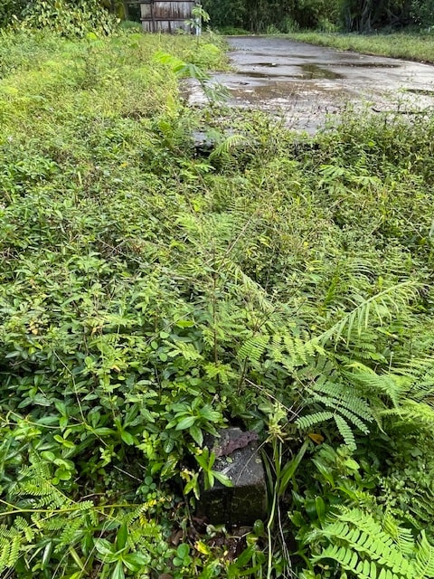 Building Photo - 15-2796-2796 Nenue St