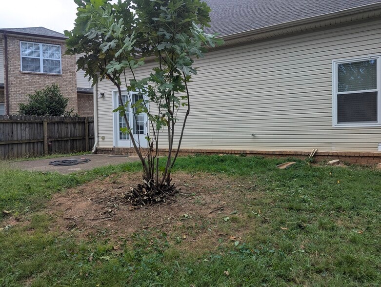 Backyard - 2480 Oak Hill Dr