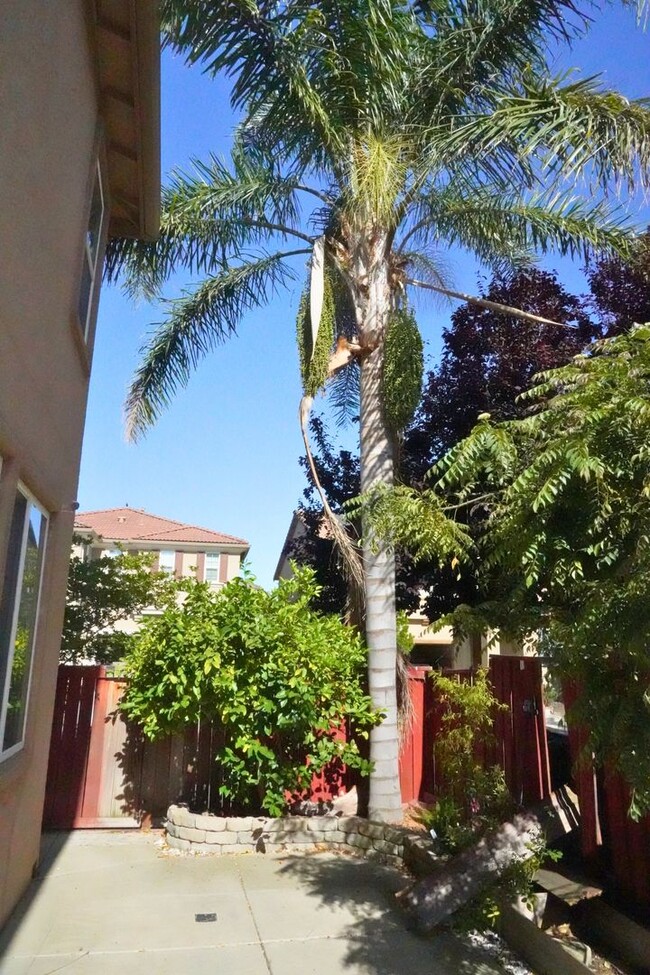 Building Photo - Beautiful 4 bed/ 3.5 bath in Natomas!