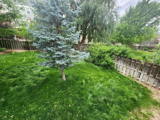 Building Photo - Beautiful 4 Bedroom Home In Beacon Point! Cherry Creek Schools!