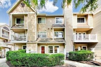 Building Photo - 10823 Hampton Mill Terrace
